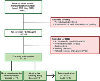 Coronary Artery Disease in Patients Presenting With Acute Ischemic Stroke or Transient Ischemic Attack and Elevated Troponin Levels